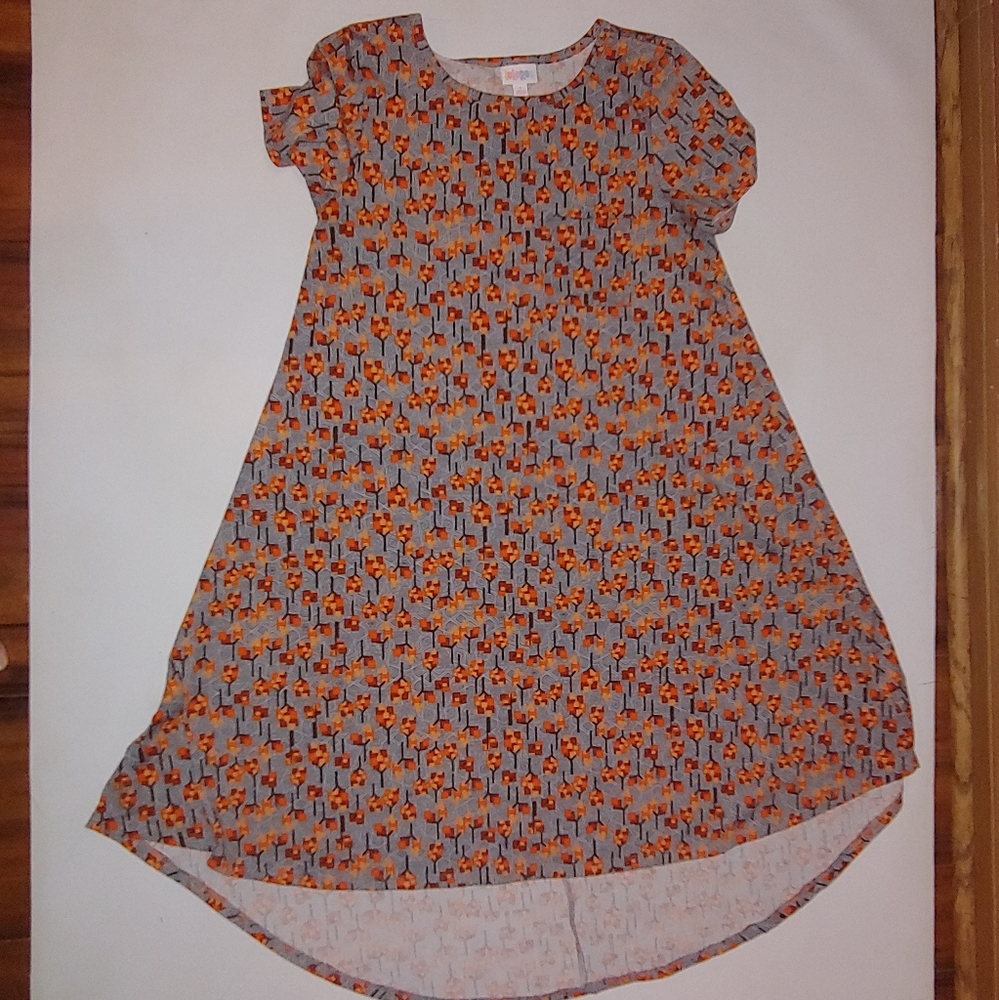 Lularoe pocket Carley size small